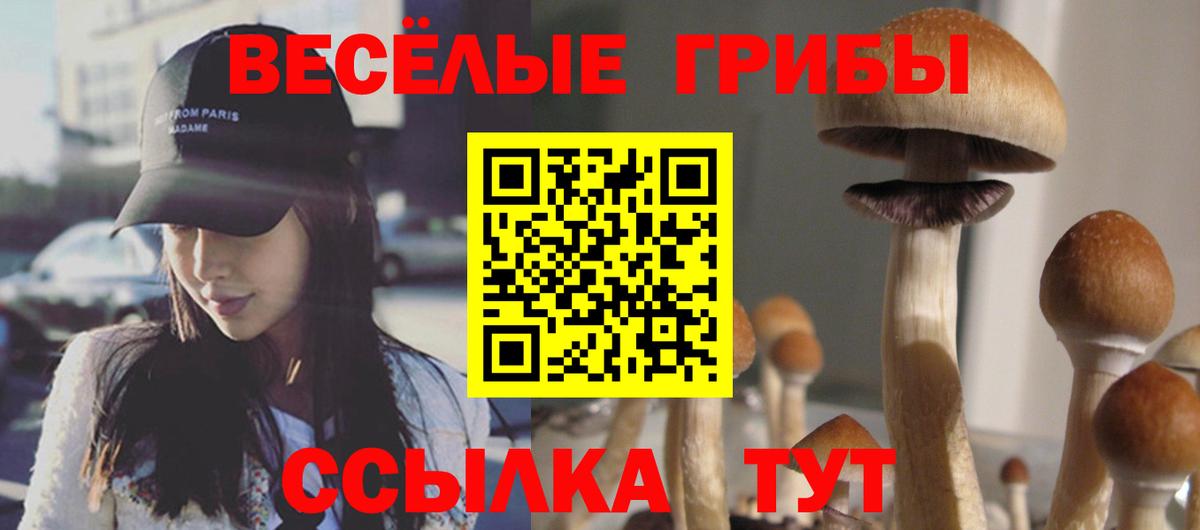 Псилоцибиновые грибы мухоморы Усинск