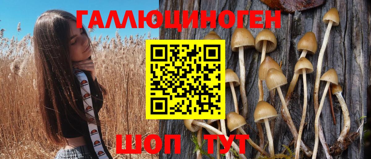 Галлюциногенные грибы мухоморы  Галлюциногенные грибы Psilocybe  Усинск  Вход с VPN 